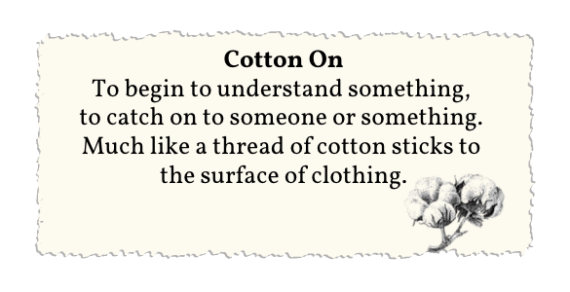 COTTON WOOL definition in American English