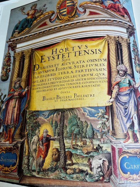 Photo of hand-coloured title-page of Basil Besler's Hortus Eystettensis, 1613.
