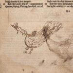 A drawing of a chicken, executed poorly with a quill, in the blank space beneath the printed text of the Bible.