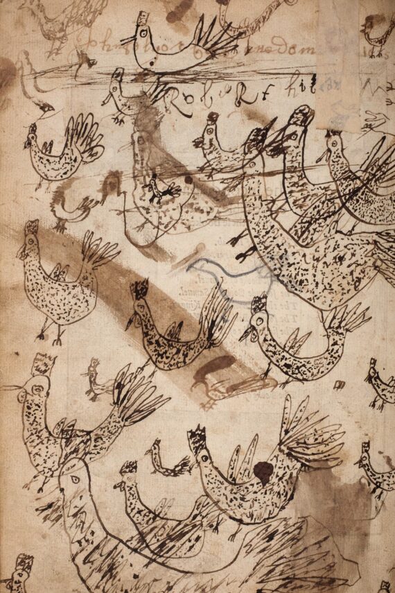 Drawings of several chickens of varying sizes but executed uniformly poorly with a quill, on a blank page of the Bible. The ink is smudged and blotted in several places.