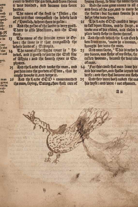 A drawing of a chicken, executed poorly with a quill, in the blank space beneath the printed text of the Bible.