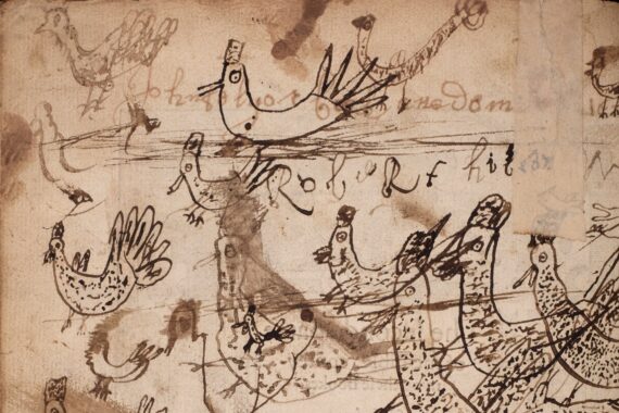 A detail of the page containing the drawings of more than twenty chickens. Beneath several chickens at the top of the page, it is possible to make out the handwritten name ‘John Teylor’. 