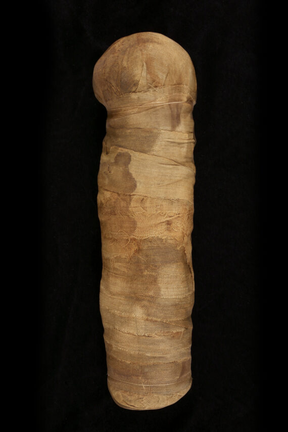 An upright object wrapped in strips of stained brown linen. At the top of the object, it is possible to make out the shape of a head.