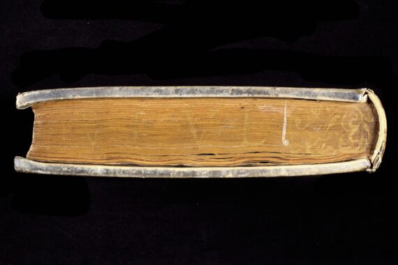 The foot of a book, with the spine visible to the right-hand side of the image. On the edges of the pages, the word ‘VIVE’ has been inscribed in capital letters in gold, although it is now barely visible. To the right, a floral design is visible. 