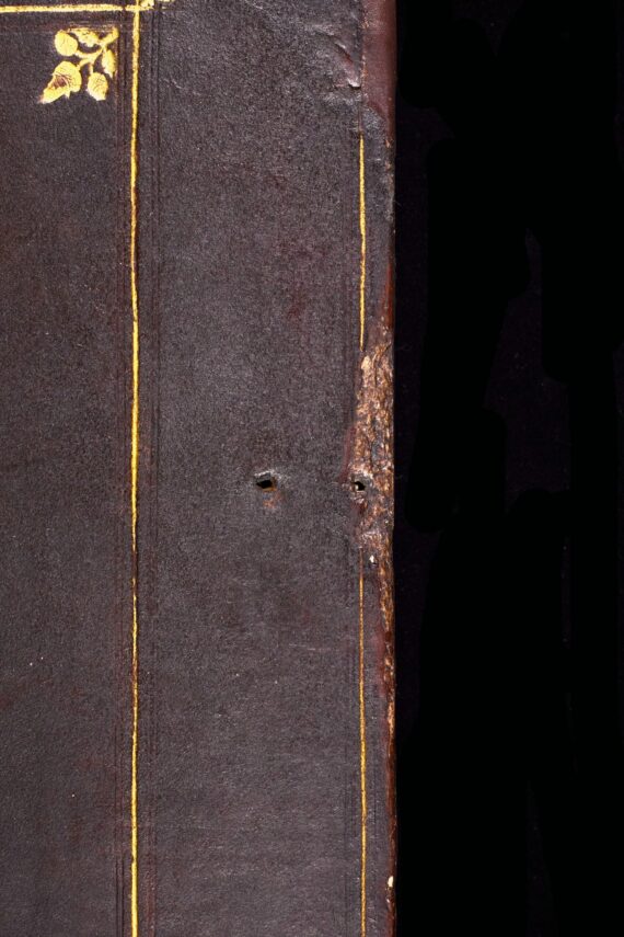 A close up of the full cover shown in the previous image, focusing on the upper part of the fore-edge. The gilt rectangular fillet border and one of the gilt-stamped acorns are visible, and there are two holes on a level with one another near the edge where a chain-plate was once attached