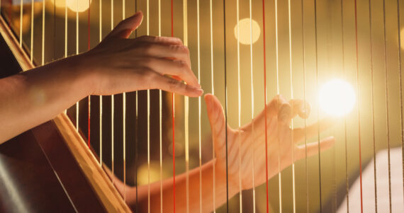 hands on harp strings