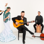 Members of the daniel Martinez Flamenco company with instruments on a white background
